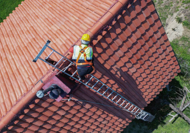 Best Asphalt Shingles Roofing  in West Branch, MI